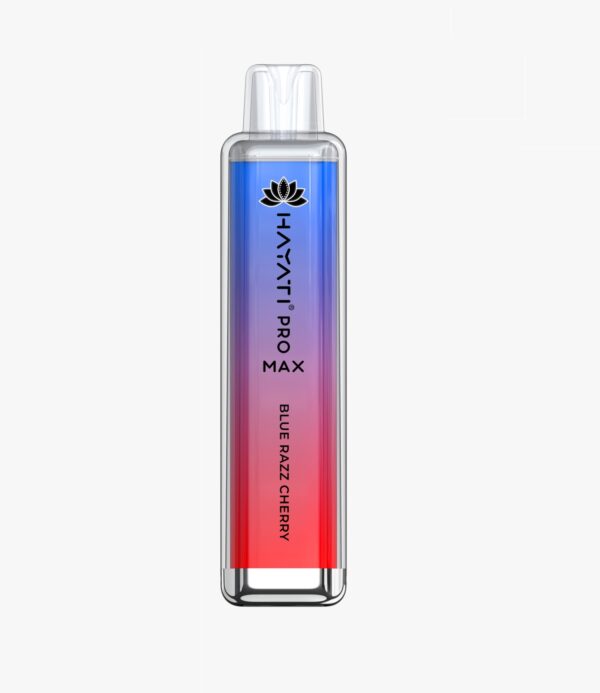 HAYATI PRO MAX 4000 DISPOSABLE VAPE KIT 0MG - Image 45