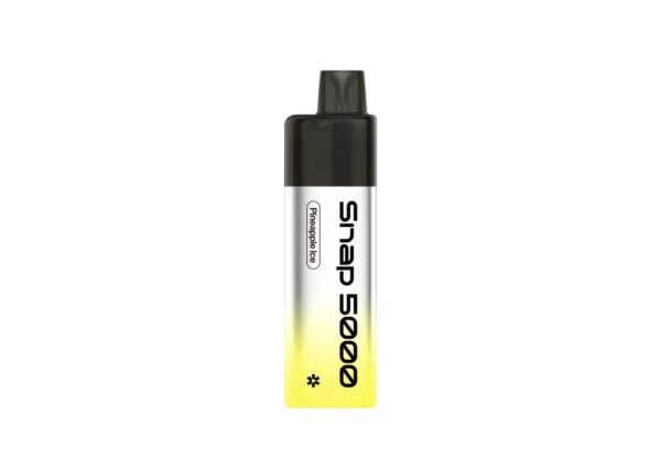 SNOWPLUS SNAP 5000 PREFILLED DISPOSABLE VAPE KIT 20MG - Image 22
